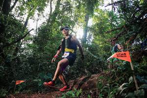 BIB: 
                            <button type="button" onclick="openModal(22640771)" class="btn btn-primary btn-sm float-right btn-popup" data-toggle="modal" data-target=".modal-high-quality">
                        <i class="fas fa-shopping-cart"></i> Add to Cart
                    </button>
                                            <button type="button" onclick="isThisMe(22640771, true)" class="btn btn-success btn-sm float-right btn-popup btn-isme hidden" data-toggle="tooltip" data-placement="bottom" title="นี่คือรูปของคุณใช่ไหม คลิกที่นี่เพื่อเอาเข้าอัลบั้ม">
                        <i class="fas fa-plus"></i> Add to album
                    </button>
                    <button type="button" onclick="isThisMe(22640771, false)" class="btn btn-warning btn-sm float-right btn-popup btn-isnotme hidden">
                        <i class="fas fa-ban"></i> Remove from album
                    </button>